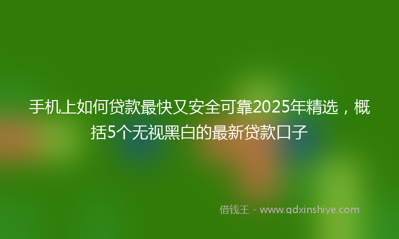 手机上如何贷款最快又安全可靠2025年精选，概括5个无视黑白的最新贷款口子