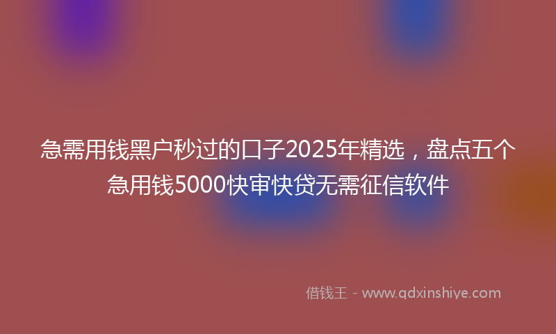 急需用钱黑户秒过的口子2025年精选，盘点五个急用钱5000快审快贷无需征信软件
