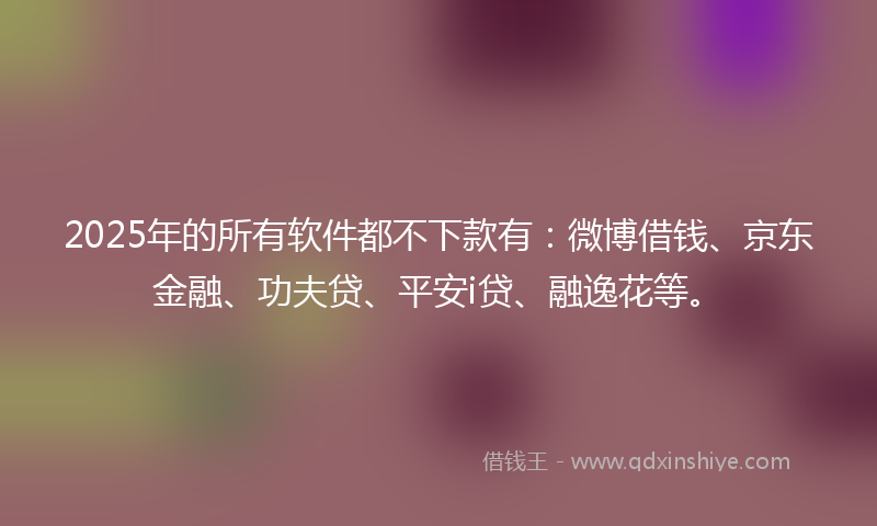 2025年的所有软件都不下款有：微博借钱、京东金融、功夫贷、平安i贷、融逸花等。