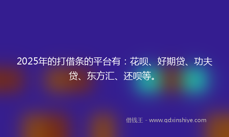 2025年的打借条的平台有：花呗、好期贷、功夫贷、东方汇、还呗等。