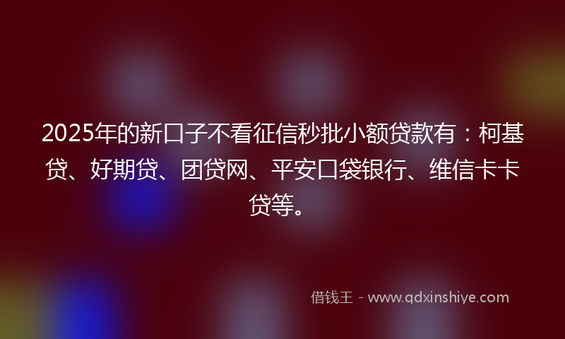 2025年的新口子不看征信秒批小额贷款有：柯基贷、好期贷、团贷网、平安口袋银行、维信卡卡贷等。