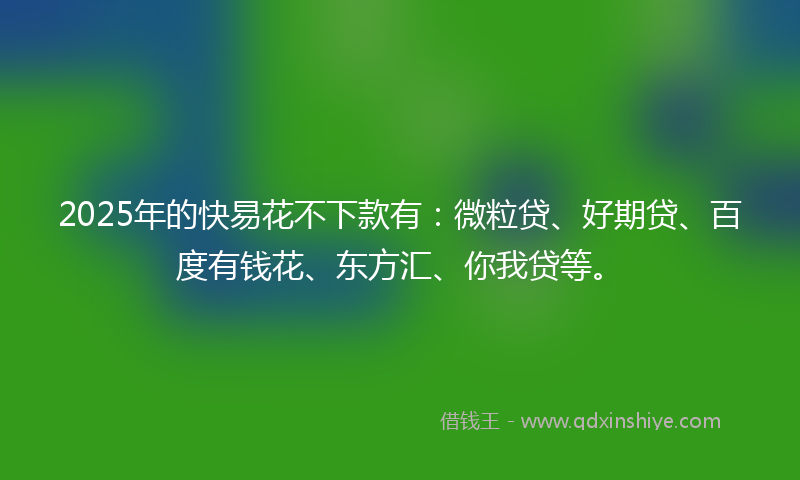2025年的快易花不下款有：微粒贷、好期贷、百度有钱花、东方汇、你我贷等。