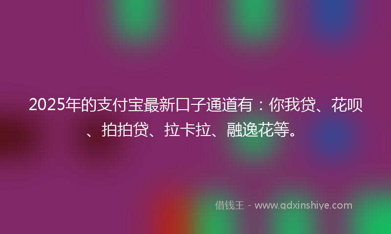 2025年的支付宝最新口子通道有：你我贷、花呗、拍拍贷、拉卡拉、融逸花等。