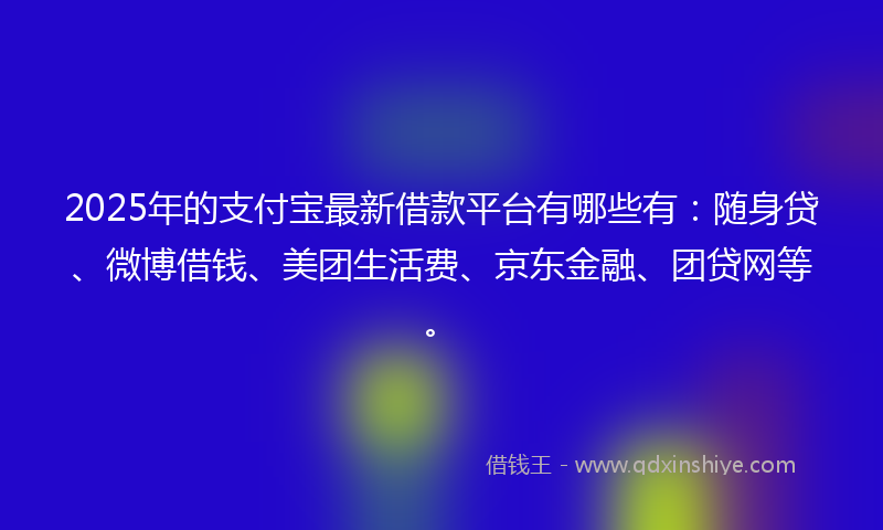 2025年的支付宝最新借款平台有哪些有：随身贷、微博借钱、美团生活费、京东金融、团贷网等。