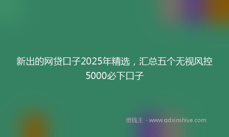 新出的网贷口子2025年精选，汇总五个无视风控5000必下口子