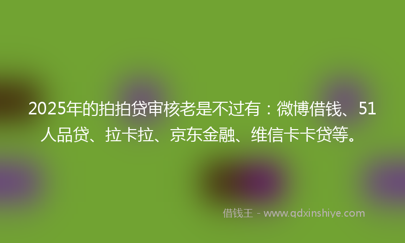 2025年的拍拍贷审核老是不过有：微博借钱、51人品贷、拉卡拉、京东金融、维信卡卡贷等。