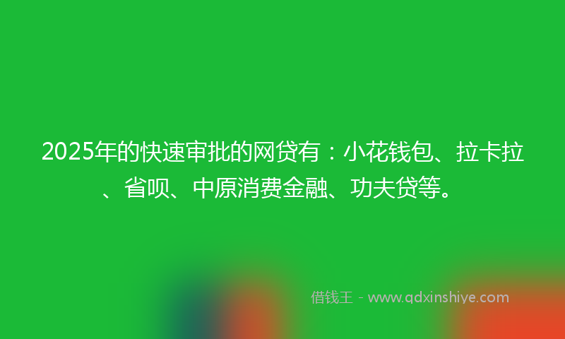 2025年的快速审批的网贷有：小花钱包、拉卡拉、省呗、中原消费金融、功夫贷等。