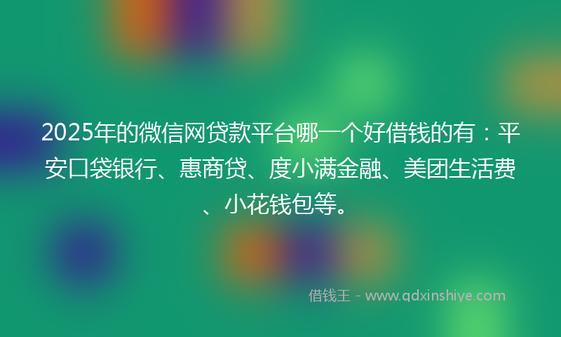 2025年的微信网贷款平台哪一个好借钱的有：平安口袋银行、惠商贷、度小满金融、美团生活费、小花钱包等。