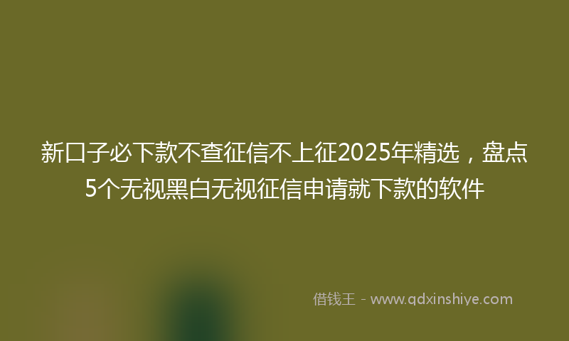 新口子必下款不查征信不上征2025年精选，盘点5个无视黑白无视征信申请就下款的软件