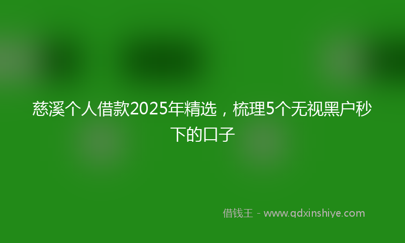 慈溪个人借款2025年精选，梳理5个无视黑户秒下的口子