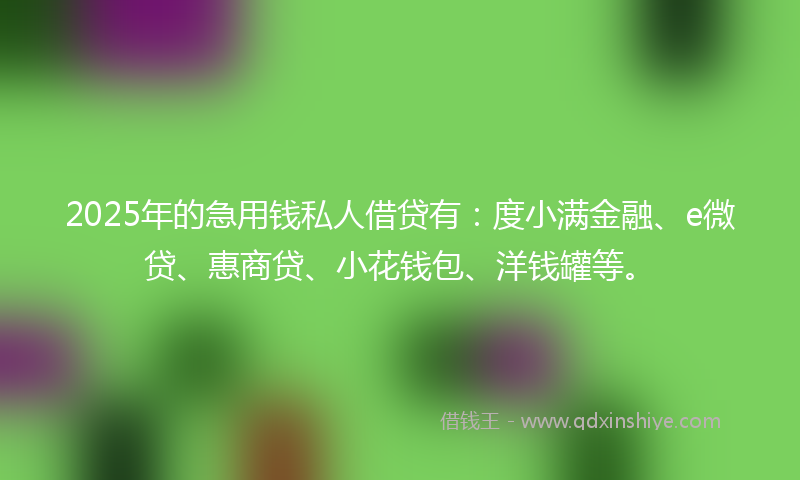 2025年的急用钱私人借贷有：度小满金融、e微贷、惠商贷、小花钱包、洋钱罐等。