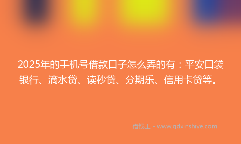 2025年的手机号借款口子怎么弄的有：平安口袋银行、滴水贷、读秒贷、分期乐、信用卡贷等。