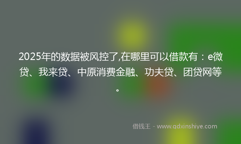 2025年的数据被风控了,在哪里可以借款有：e微贷、我来贷、中原消费金融、功夫贷、团贷网等。
