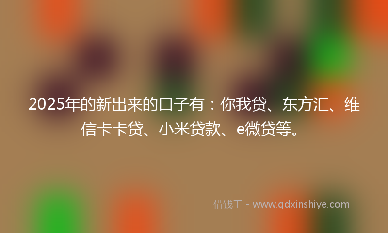 2025年的新出来的口子有：你我贷、东方汇、维信卡卡贷、小米贷款、e微贷等。