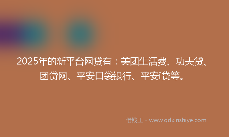 2025年的新平台网贷有：美团生活费、功夫贷、团贷网、平安口袋银行、平安i贷等。