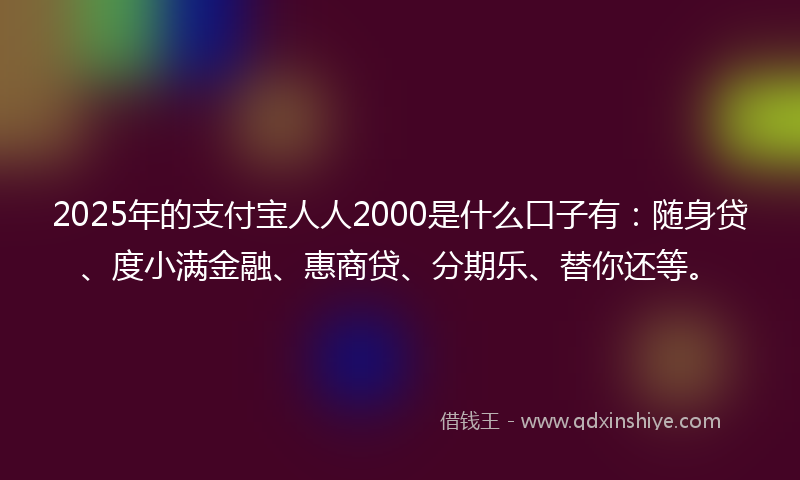 2025年的支付宝人人2000是什么口子有：随身贷、度小满金融、惠商贷、分期乐、替你还等。