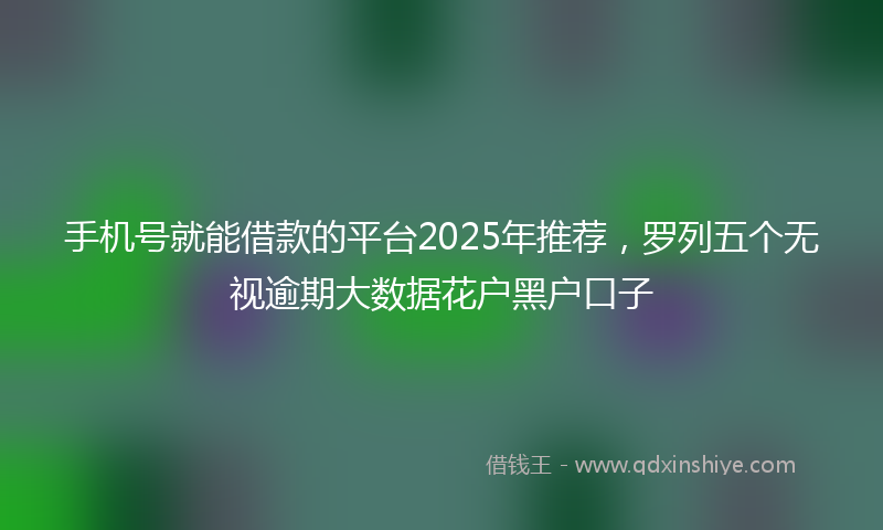手机号就能借款的平台2025年推荐，罗列五个无视逾期大数据花户黑户口子