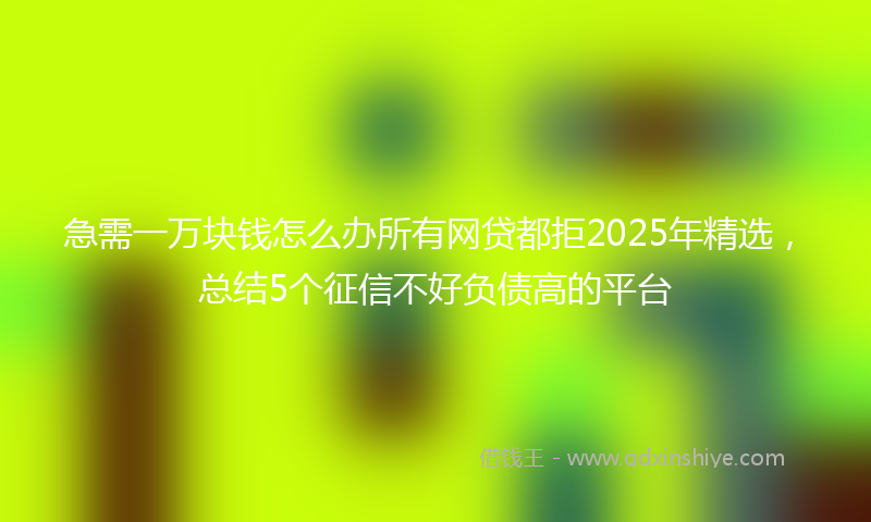 急需一万块钱怎么办所有网贷都拒2025年精选，总结5个征信不好负债高的平台