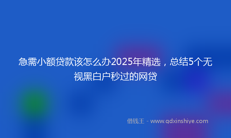 急需小额贷款该怎么办2025年精选，总结5个无视黑白户秒过的网贷
