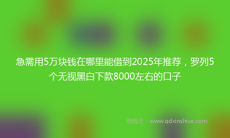 急需用5万块钱在哪里能借到2025年推荐，罗列5个无视黑白下款8000左右的口子