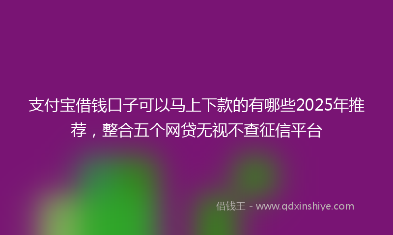 支付宝借钱口子可以马上下款的有哪些2025年推荐，整合五个网贷无视不查征信平台