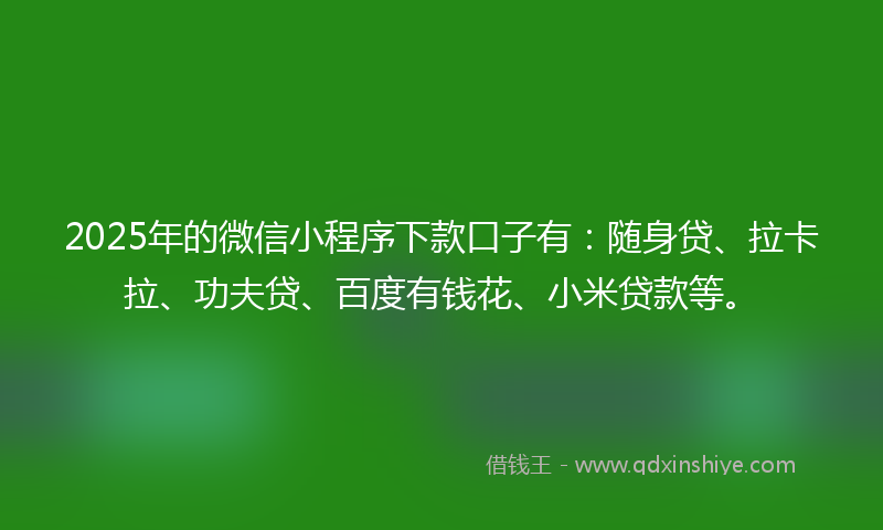 2025年的微信小程序下款口子有：随身贷、拉卡拉、功夫贷、百度有钱花、小米贷款等。