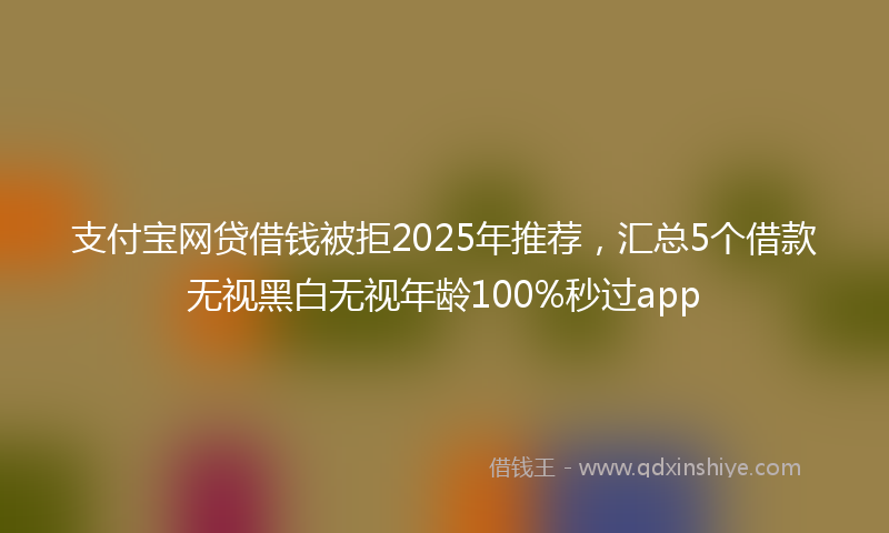 支付宝网贷借钱被拒2025年推荐，汇总5个借款无视黑白无视年龄100%秒过app