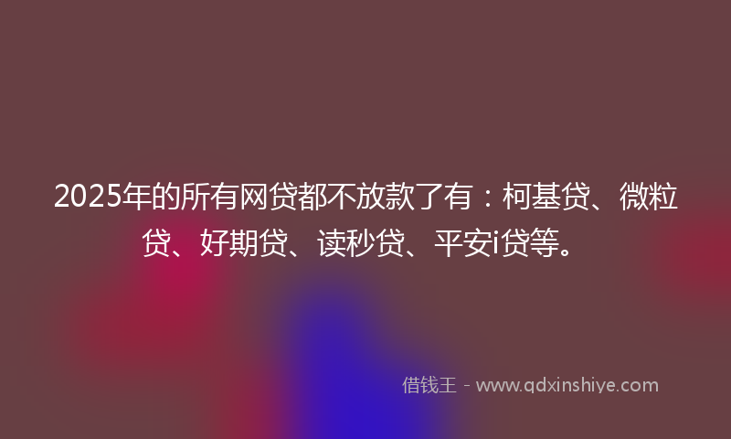 2025年的所有网贷都不放款了有：柯基贷、微粒贷、好期贷、读秒贷、平安i贷等。