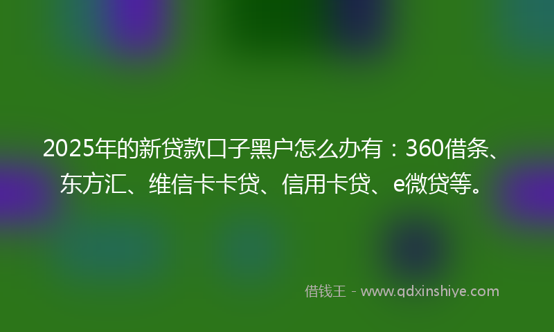 2025年的新贷款口子黑户怎么办有：360借条、东方汇、维信卡卡贷、信用卡贷、e微贷等。