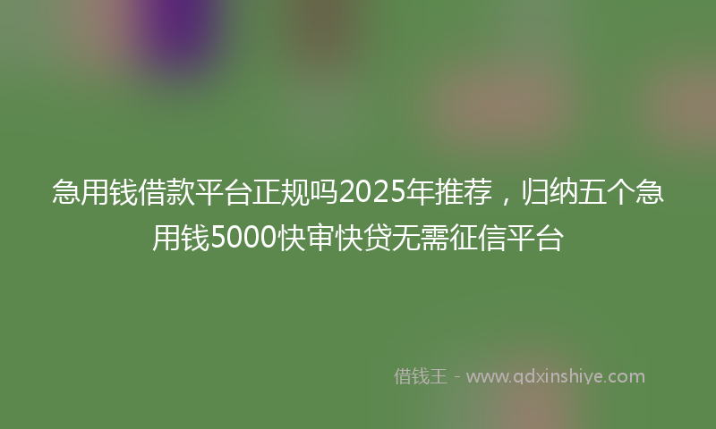 急用钱借款平台正规吗2025年推荐，归纳五个急用钱5000快审快贷无需征信平台
