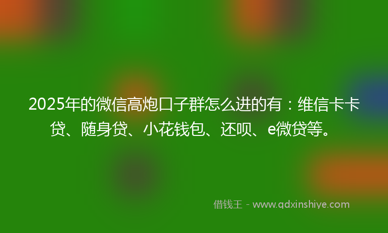 2025年的微信高炮口子群怎么进的有：维信卡卡贷、随身贷、小花钱包、还呗、e微贷等。