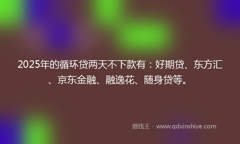2025年的循环贷两天不下款有：好期贷、东方汇、京东金融、融逸花、随身贷等。