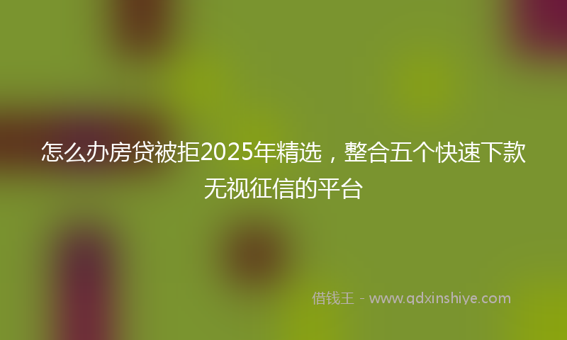 怎么办房贷被拒2025年精选，整合五个快速下款无视征信的平台