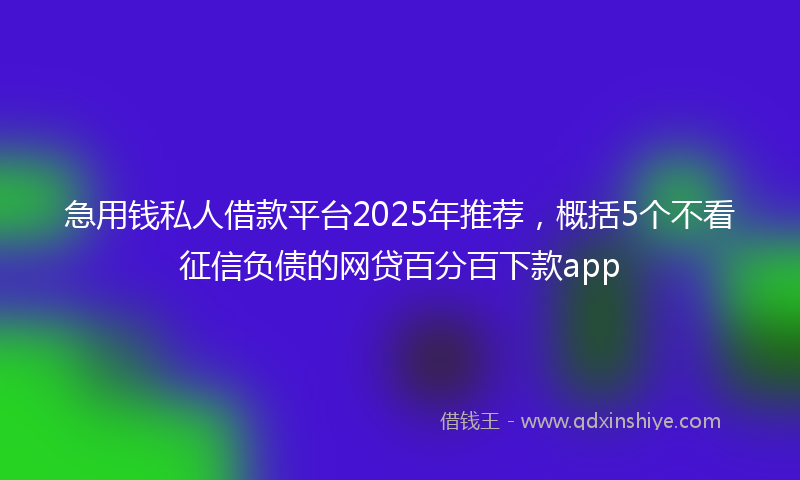 急用钱私人借款平台2025年推荐，概括5个不看征信负债的网贷百分百下款app