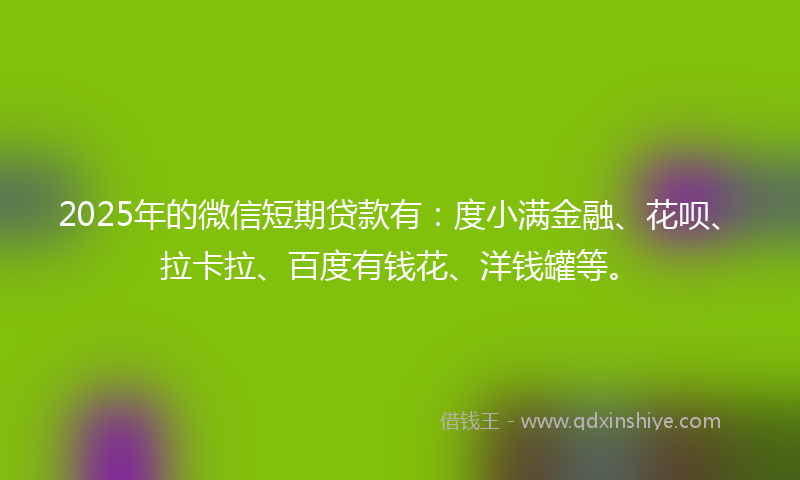 2025年的微信短期贷款有：度小满金融、花呗、拉卡拉、百度有钱花、洋钱罐等。