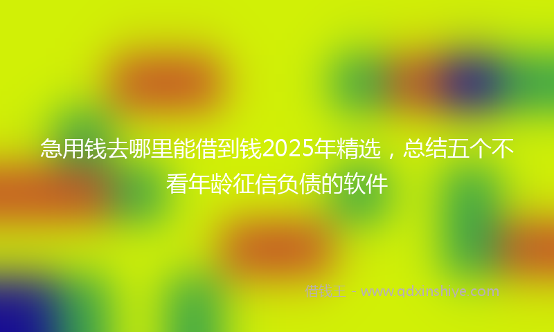 急用钱去哪里能借到钱2025年精选，总结五个不看年龄征信负债的软件