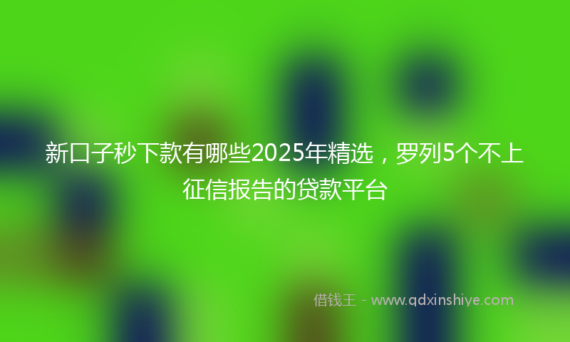 新口子秒下款有哪些2025年精选，罗列5个不上征信报告的贷款平台