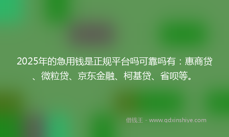 2025年的急用钱是正规平台吗可靠吗有：惠商贷、微粒贷、京东金融、柯基贷、省呗等。