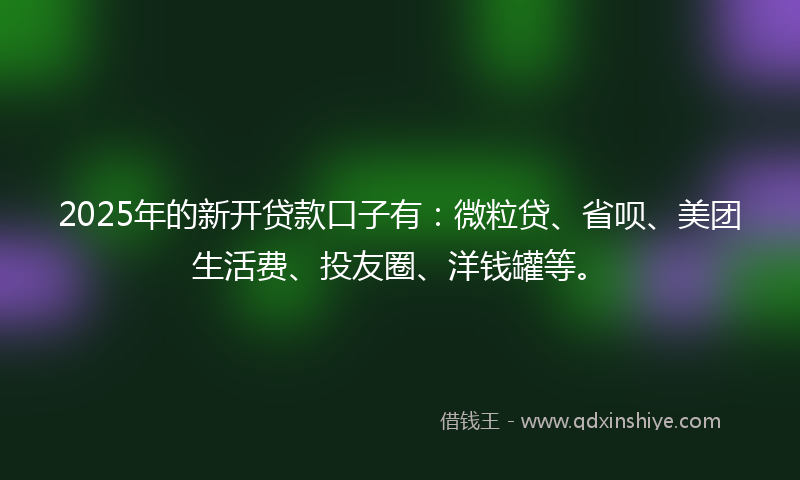 2025年的新开贷款口子有：微粒贷、省呗、美团生活费、投友圈、洋钱罐等。