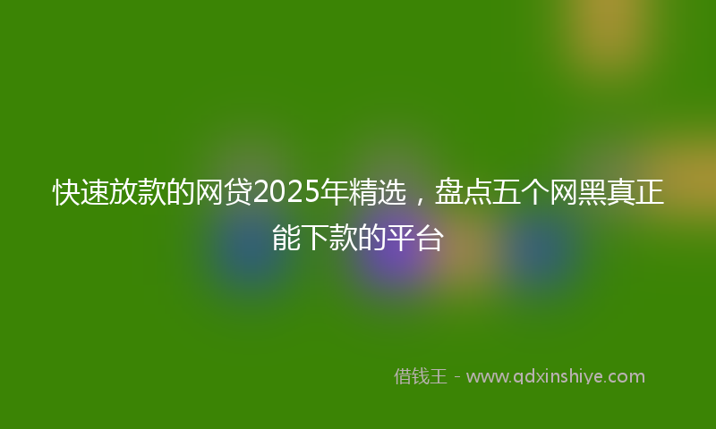 快速放款的网贷2025年精选，盘点五个网黑真正能下款的平台