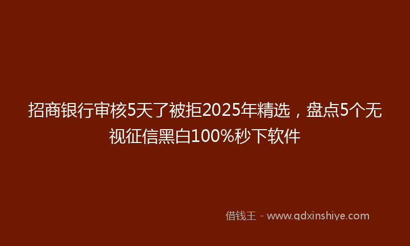 招商银行审核5天了被拒2025年精选，盘点5个无视征信黑白100%秒下软件