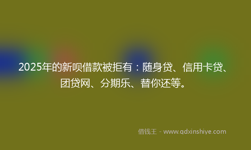 2025年的新呗借款被拒有：随身贷、信用卡贷、团贷网、分期乐、替你还等。