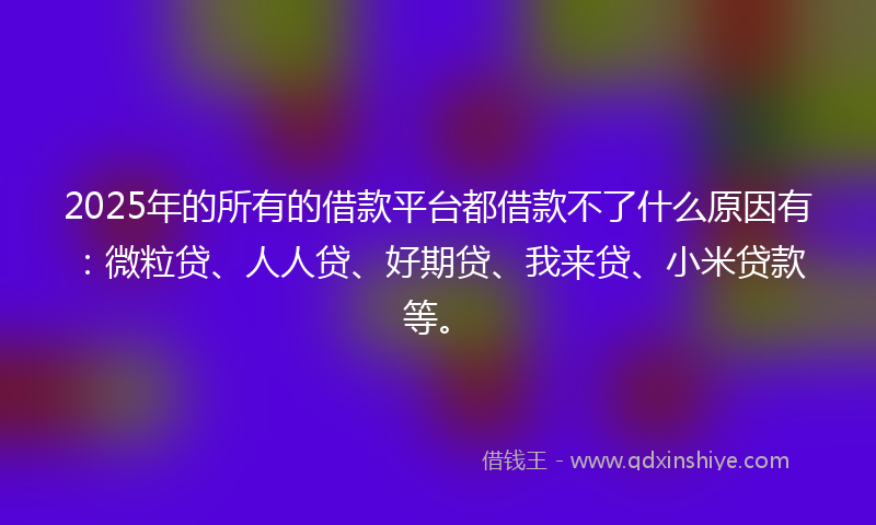 2025年的所有的借款平台都借款不了什么原因有：微粒贷、人人贷、好期贷、我来贷、小米贷款等。
