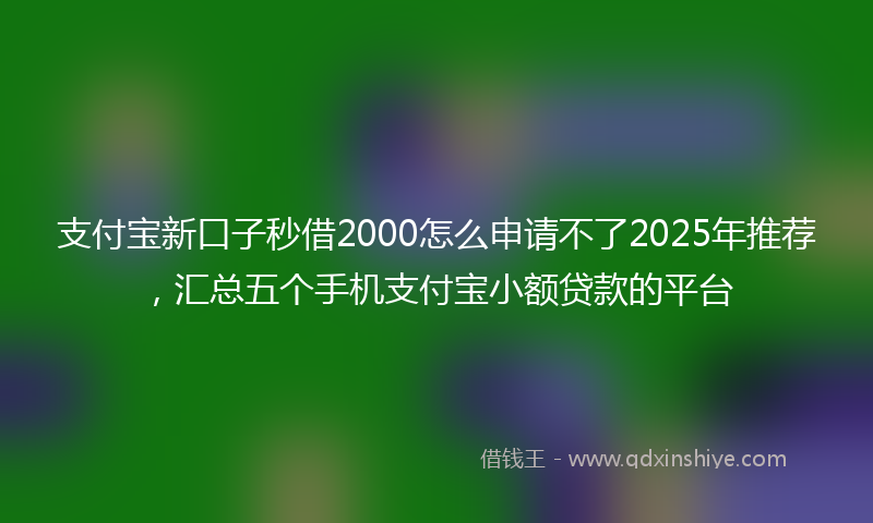支付宝新口子秒借2000怎么申请不了2025年推荐，汇总五个手机支付宝小额贷款的平台