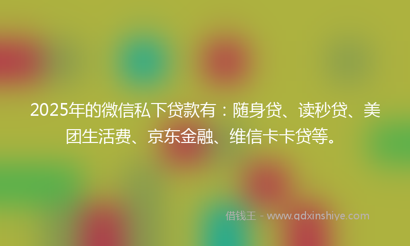 2025年的微信私下贷款有：随身贷、读秒贷、美团生活费、京东金融、维信卡卡贷等。