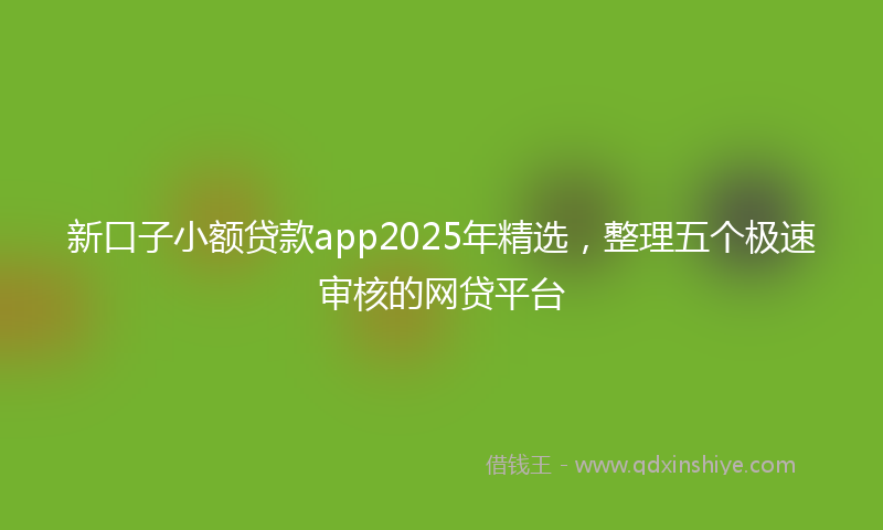 新口子小额贷款app2025年精选，整理五个极速审核的网贷平台