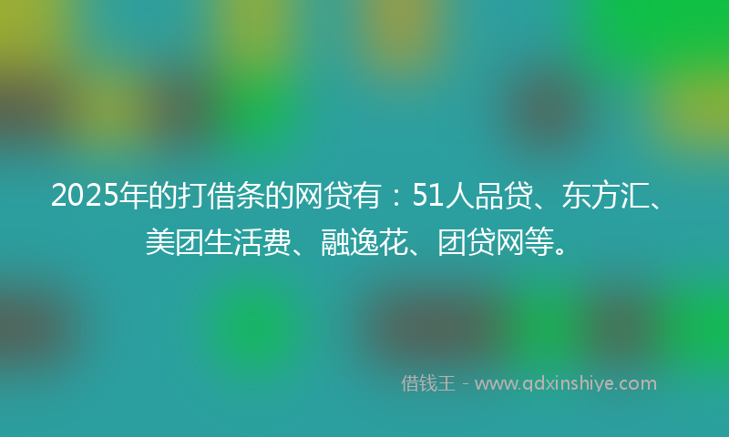 2025年的打借条的网贷有：51人品贷、东方汇、美团生活费、融逸花、团贷网等。
