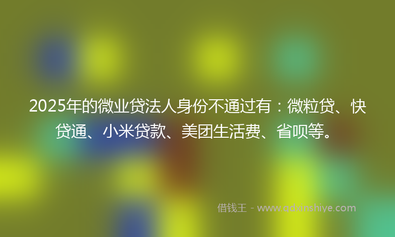 2025年的微业贷法人身份不通过有：微粒贷、快贷通、小米贷款、美团生活费、省呗等。