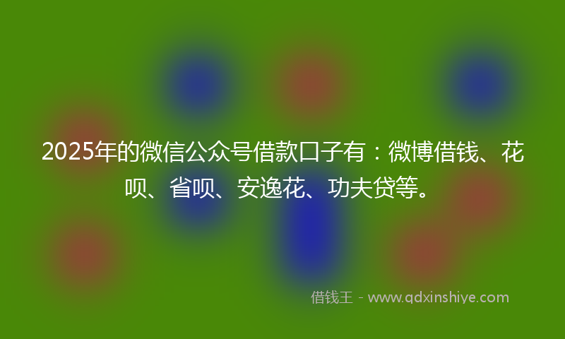 2025年的微信公众号借款口子有：微博借钱、花呗、省呗、安逸花、功夫贷等。