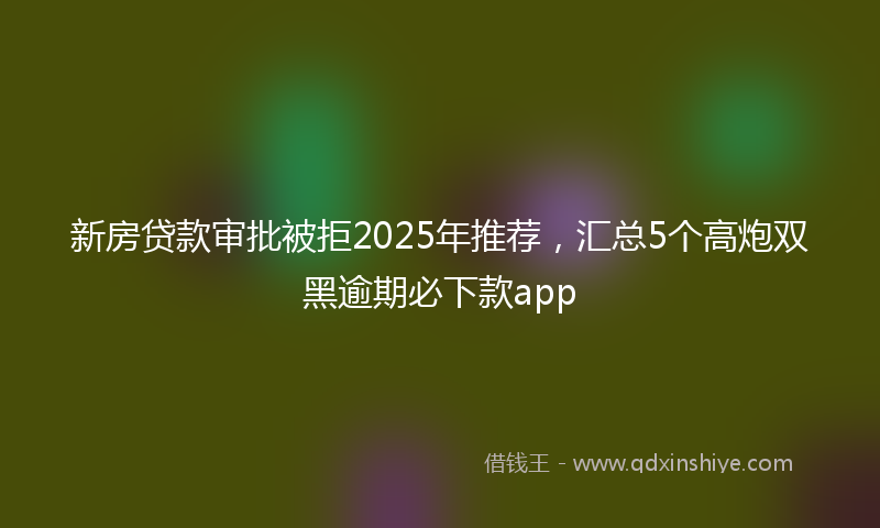 新房贷款审批被拒2025年推荐，汇总5个高炮双黑逾期必下款app